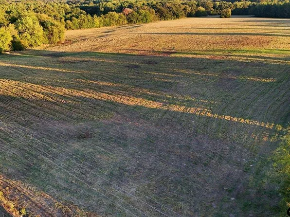 0 County Road 4930, Quitman, TX 75783