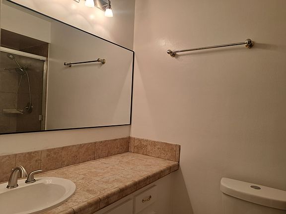 Master bathroom shower/toilet area.