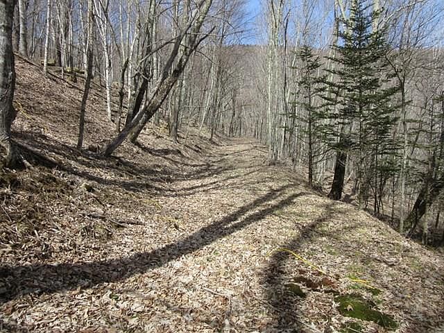 1st image of Roan Dr