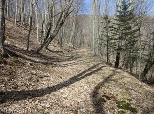 Roan Dr, Bakersville, NC 28705