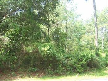 2nd image of 20 Bradley Beach Rd