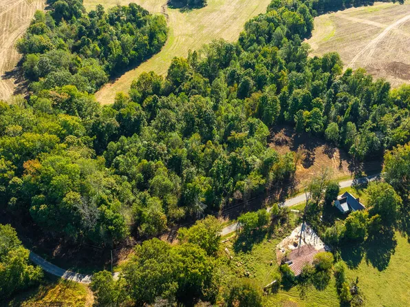 TRACT 8 Hearn Rd, Greenfield, TN 38230