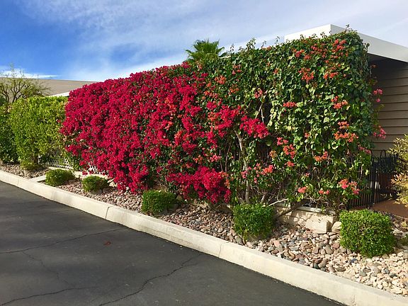 22 club circle side flowers beautiful