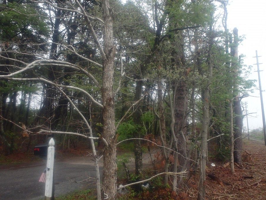 2nd image of 34 Roosevelt Ave