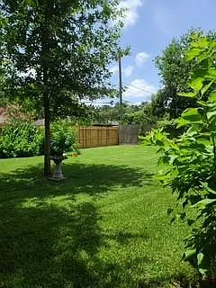 4319 Benning Dr — Photo 25