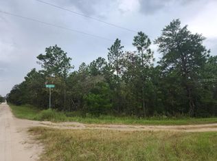 SW 85th Pl LOT 2, Dunnellon, FL 34432
