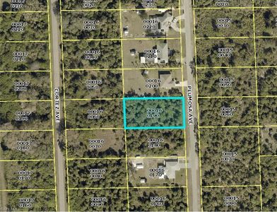 513 Plumosa Ave, Lehigh Acres, FL, 33972