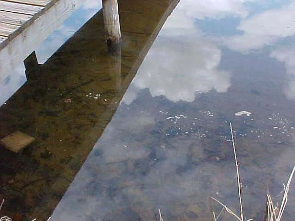 3rd image of 1152 S Gunlock Lake Ln #S