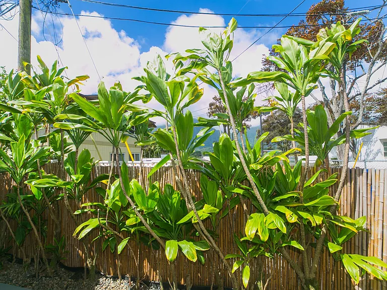 45-138 Two Waikalua Rd — Photo 26