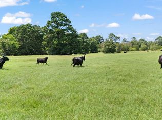 Saint Delight Rd #1, Paige, TX 78659