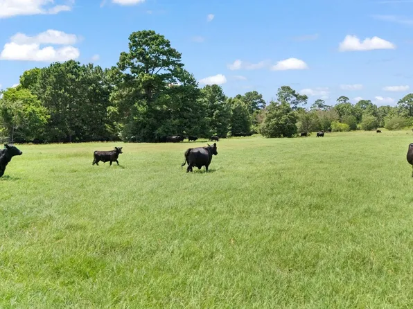 Saint Delight Rd #1, Paige, TX 78659