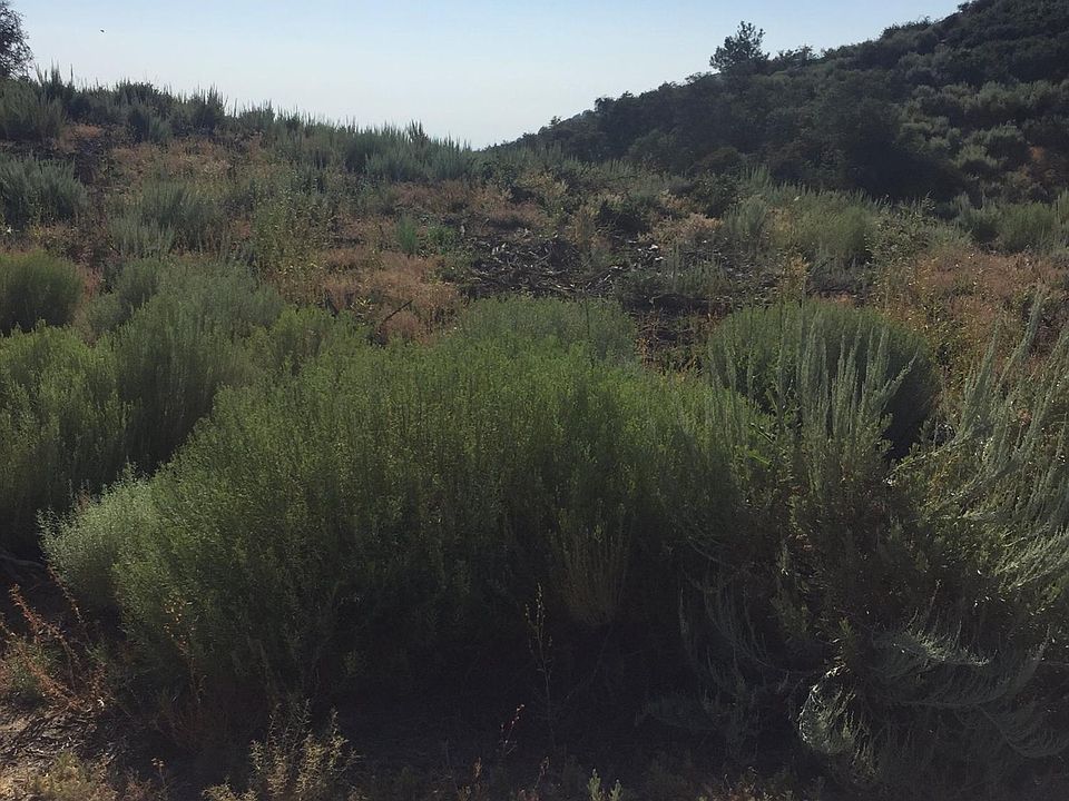 2nd image of 24981 Jacaranda Dr
