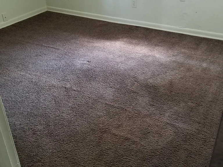 1119 Alta Vista Dr — Photo 11