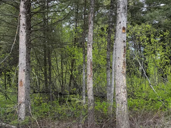 241 Spurwood Dr, Thayne, WY 83127