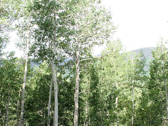5th image of Tbd Silver St