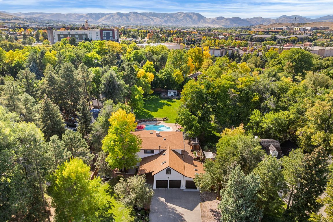 Magical Mid-Century Modern in Golden