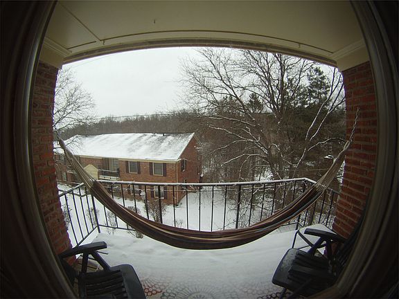 Hammock included with rent
