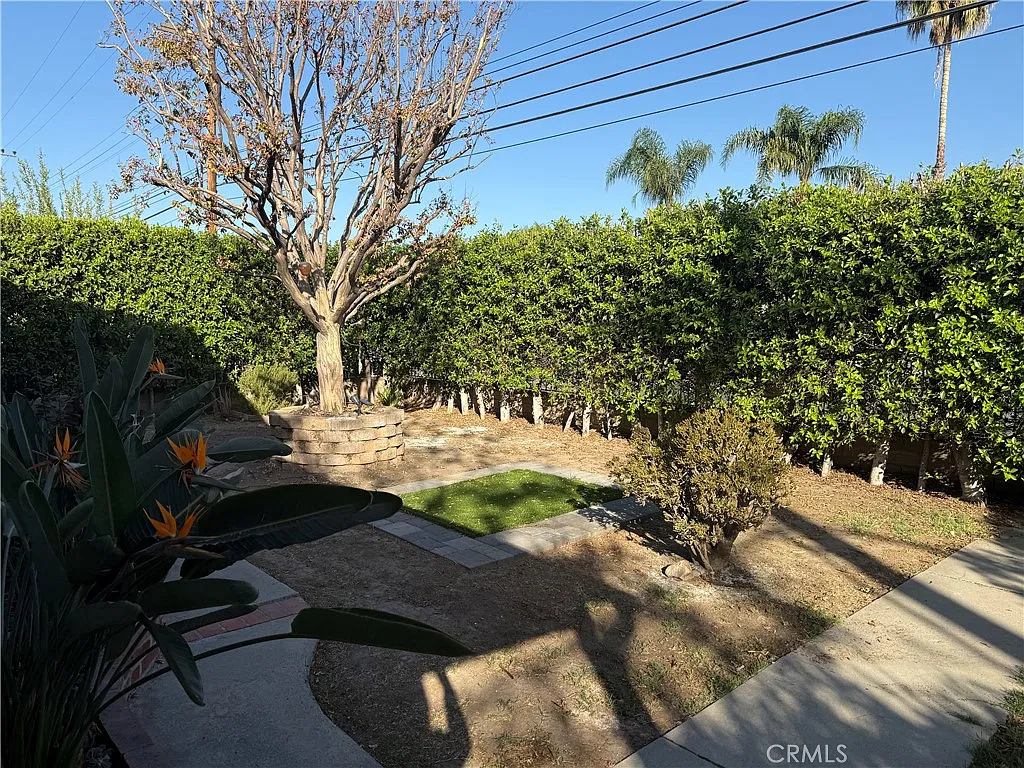 3 bed, 1072 sqft, $3,500 — Photo 2