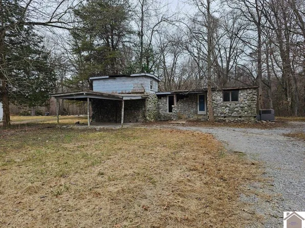 321 Golden Meadow Ln, Ledbetter, KY 42058