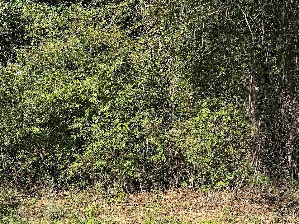 1st image of 0 Shocco Springs Rd #4