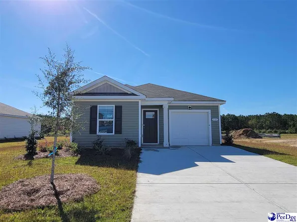 597 Strawberry Field Way, Galivants Ferry, SC 29544