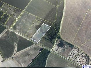 800 Quiet Brook Rd, Darlington, SC 29540