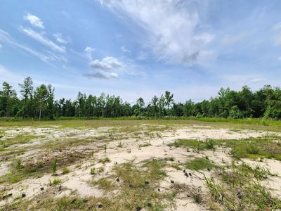 5375 Long Branch Swamp Rd., Nichols, SC, 29581