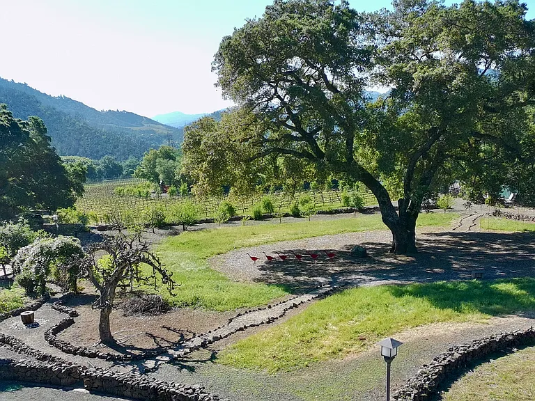 321 Dutch Henry Canyon Rd — Photo 44