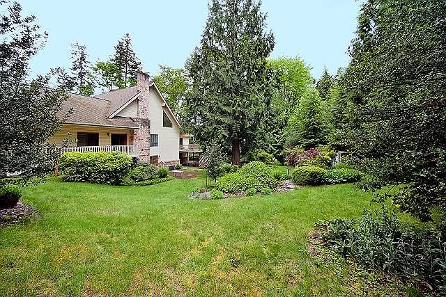 Back yard