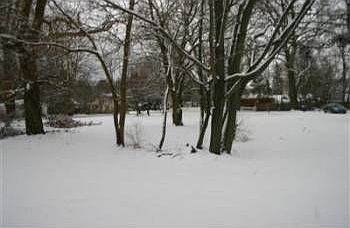 3rd image of 510 W Napier Ave