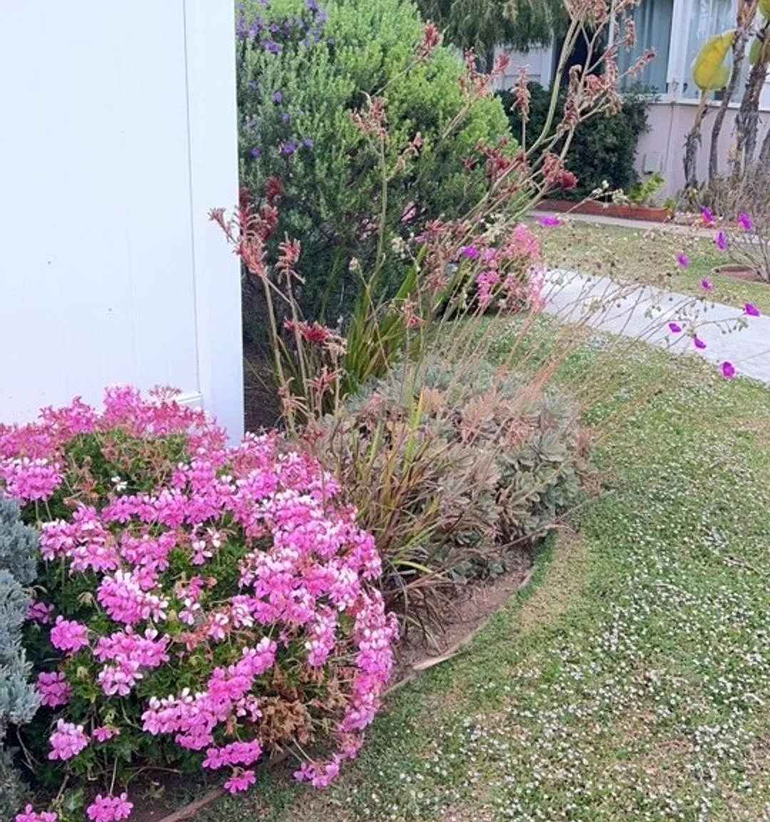 Remodeled One Bedroom Apartment Home! 1 Block from the Beach! Private Garage! — Photo 4