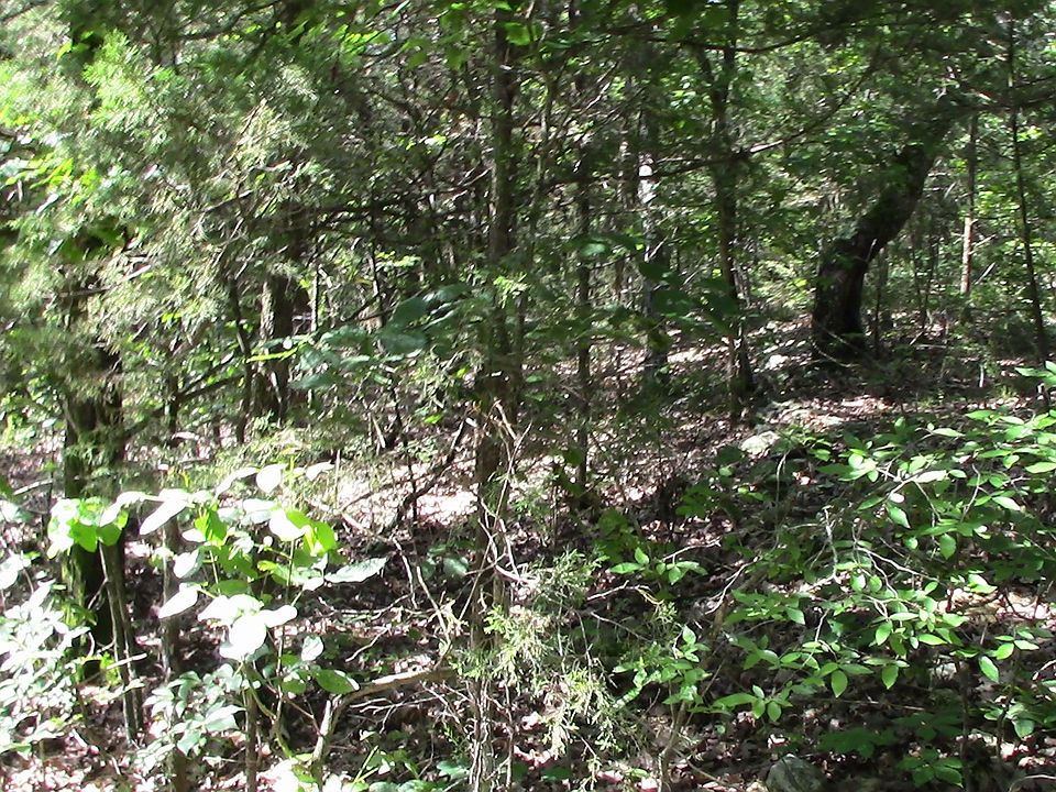 1st image of Tbd County Road 829