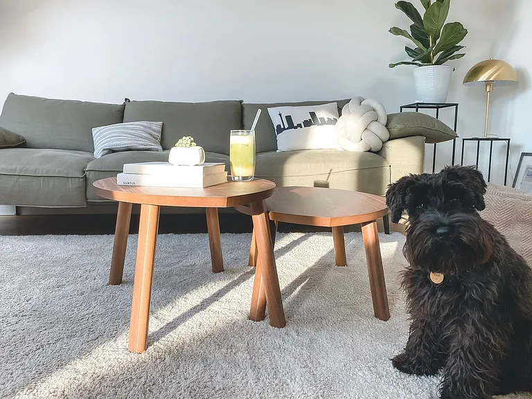 Furry Friends Welcome!