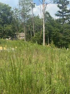312 Windsong Dr, La Fayette, GA, 30728