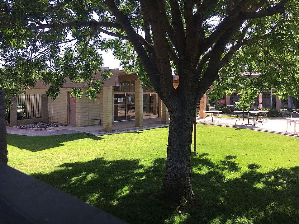 Backyard Clubhouse