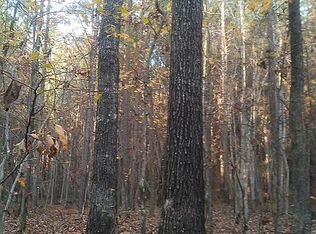 0 Blue Creek Rd, Lobelville, TN 37097