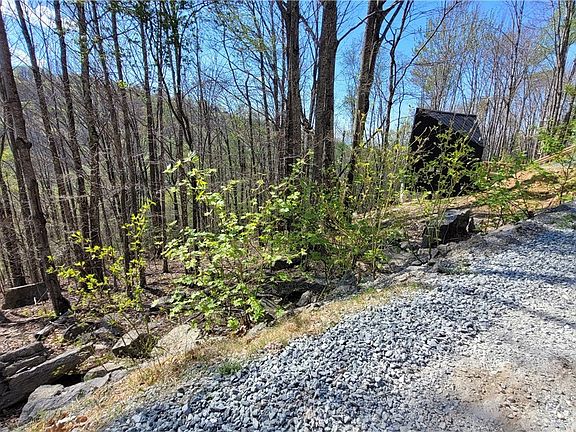 5th image of 236 Wild Daisy Lane