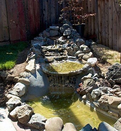 Backyard Pond