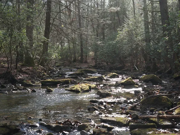 0 Wolf Haven Rd, Spencer, TN 38585
