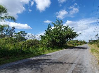 9th Avenue Kalaunu, Keaau, HI 96749