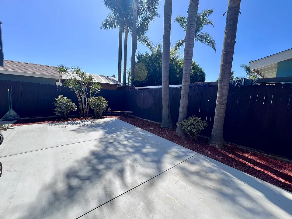Backyard!