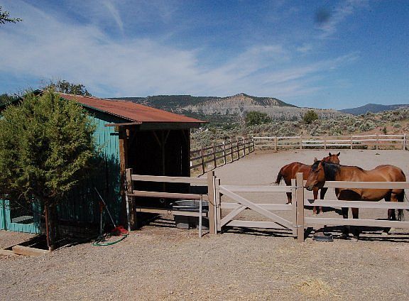 4th image of 2 Percheron Trl
