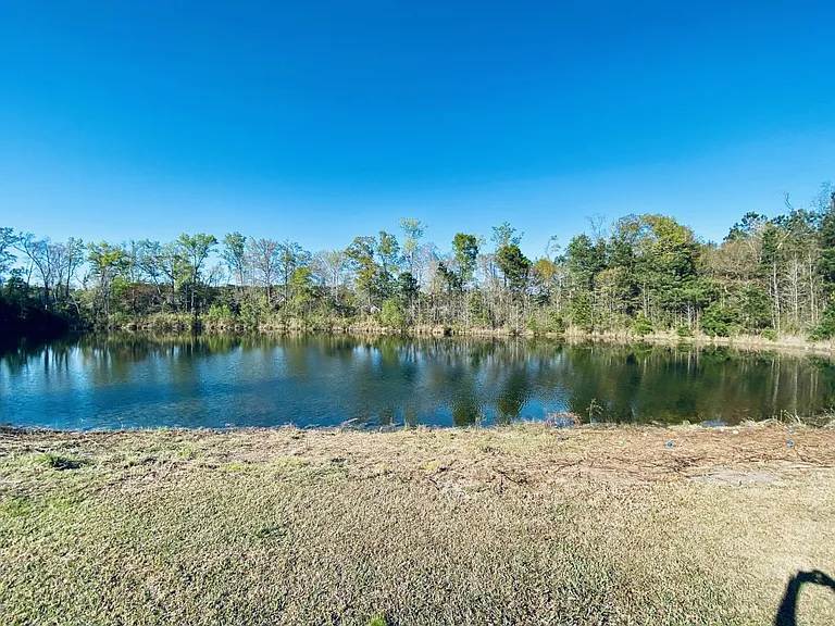 Pond view_03222023