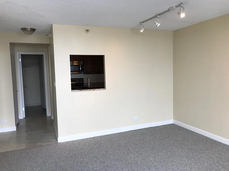 10 E Ontario St #3407 — Photo 7