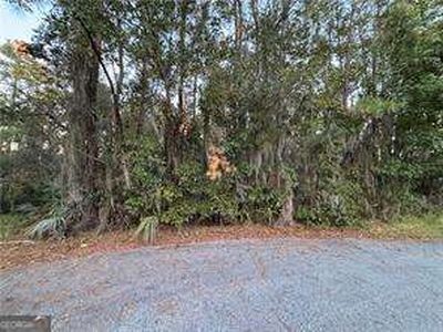 138 Picket Run, Brunswick, GA, 31520