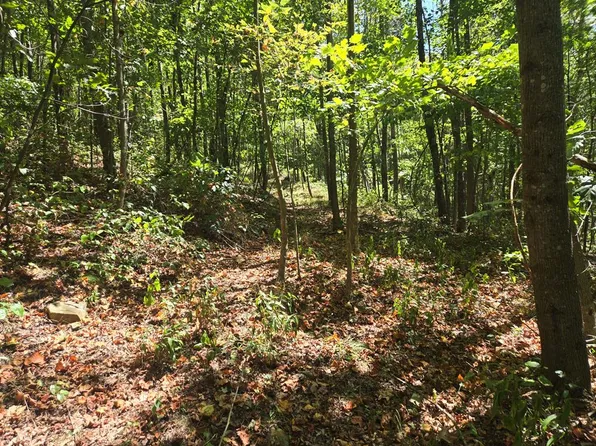 0 Rocky Fork Rd, Otway, OH 45657