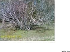3rd image of 902 Malotte Ln