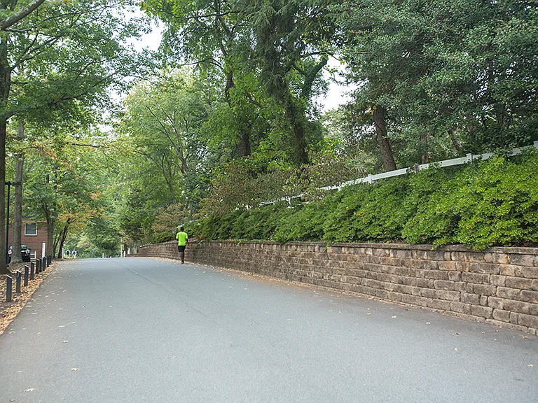 Ivy Garden — Photo 15