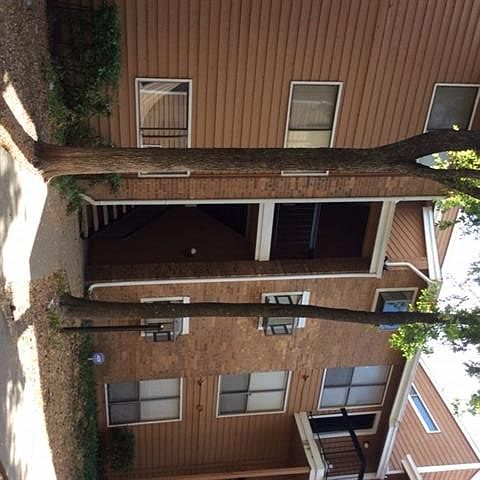 1st image of 9730 Whitehurst Dr APT 20