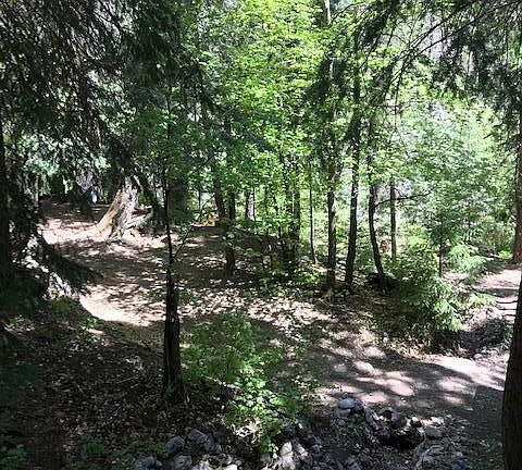 5th image of 10982 E Wren Ln